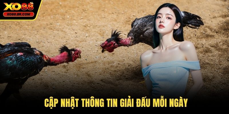 Cập nhật thông tin giải đấu mỗi ngày