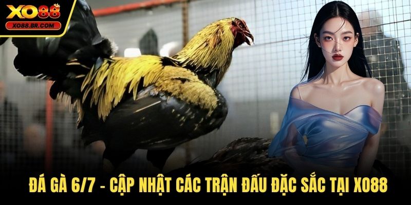 Đá gà 6/7
