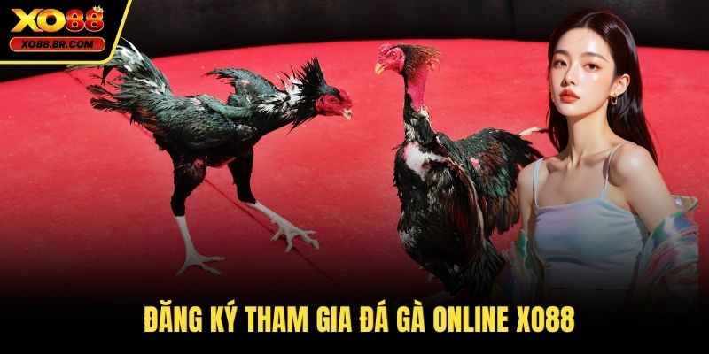 Đăng ký tham gia đá gà online XO88