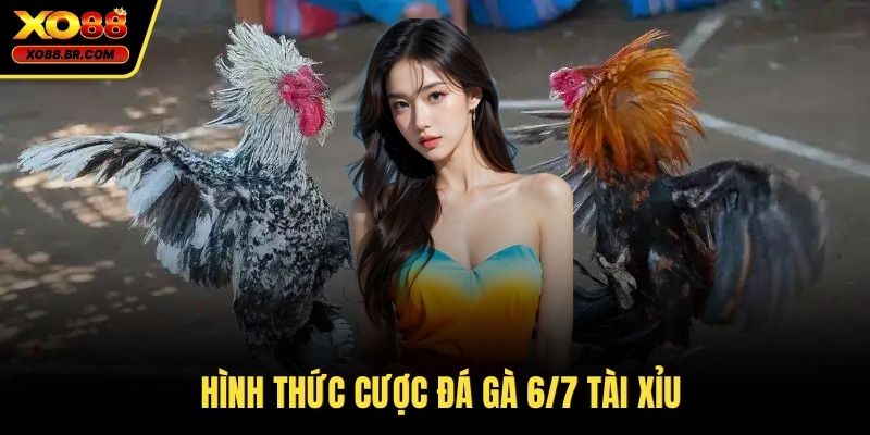 Hình thức cược đá gà 6/7 tài xỉu