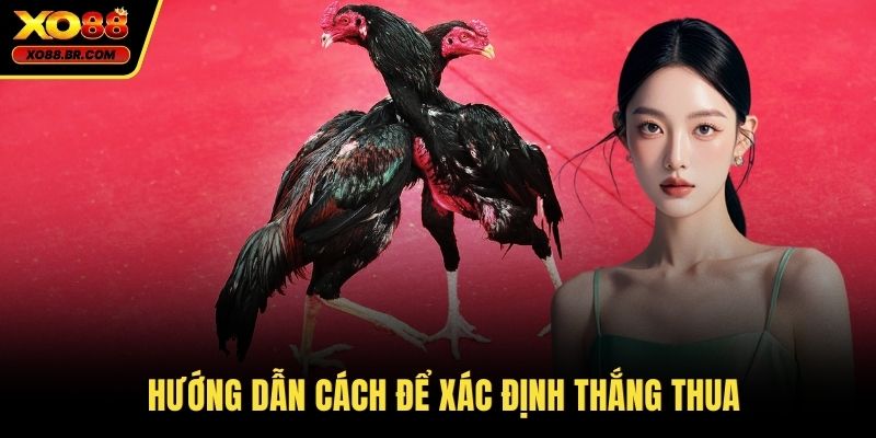 Hướng dẫn cách để xác định thắng thua