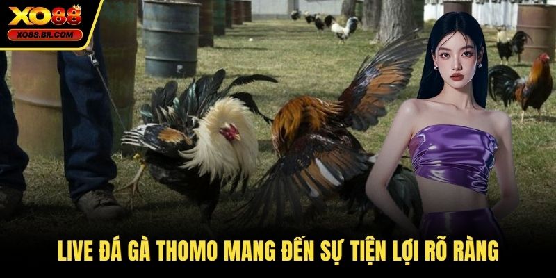 Live đá gà Thomo mang đến sự tiện lợi rõ ràng