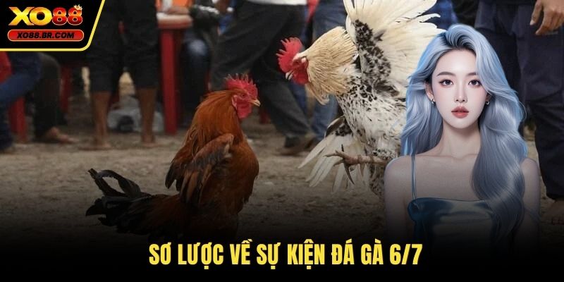 Sơ lược về sự kiện đá gà 6/7