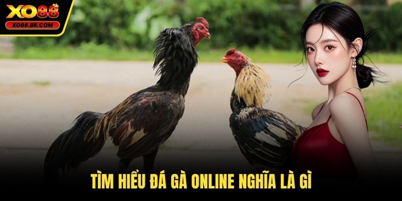 Tìm hiểu đá gà online nghĩa là gì
