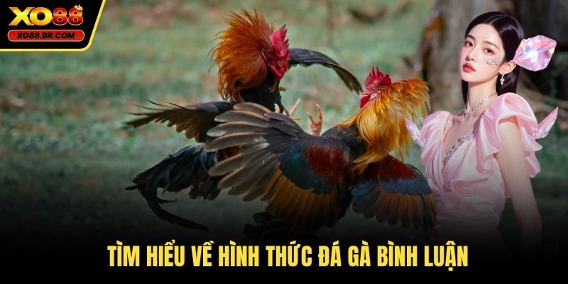 Tìm hiểu về hình thức đá gà bình luận